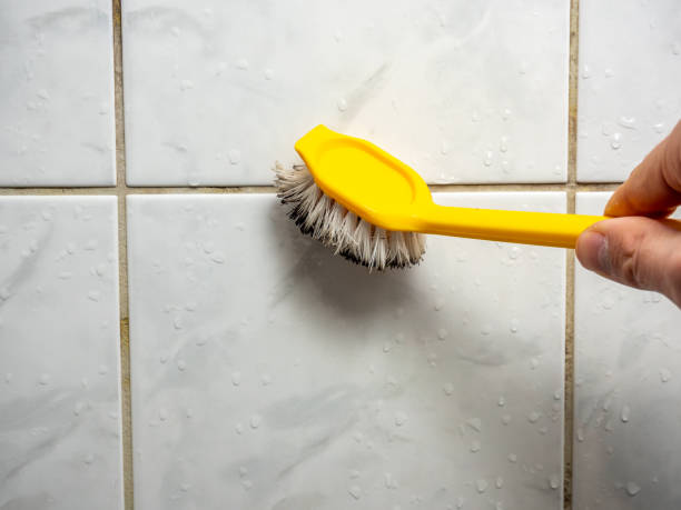 Best Home Mold Removal  in Wyncote, PA