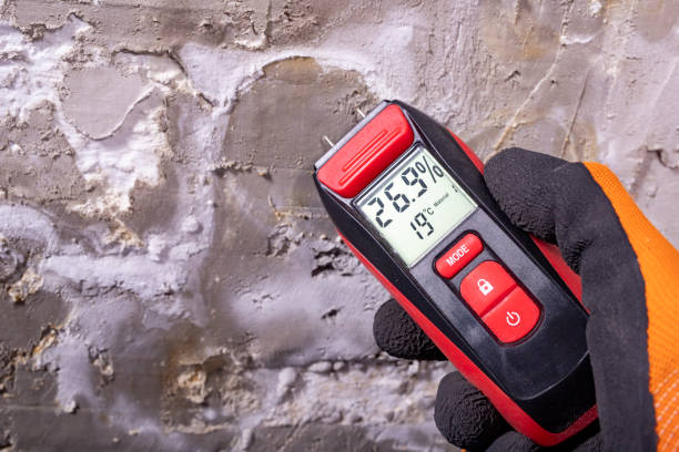 Best Affordable Mold Removal  in Wyncote, PA