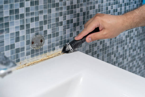 Best Black Mold Removal  in Wyncote, PA